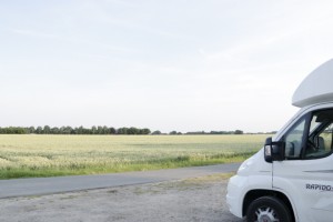 Dans les champs de blés verts