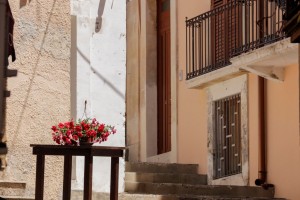 Fleurs dans une cour 